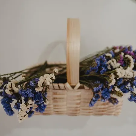 Gasthof 88 Castro Daire