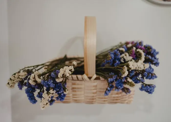 Casa de hóspedes 88 Castro Daire